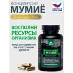 Концентрат пищевой Алтайские традиции Мумиё премиум с лецитином и витамином С 60 капсул