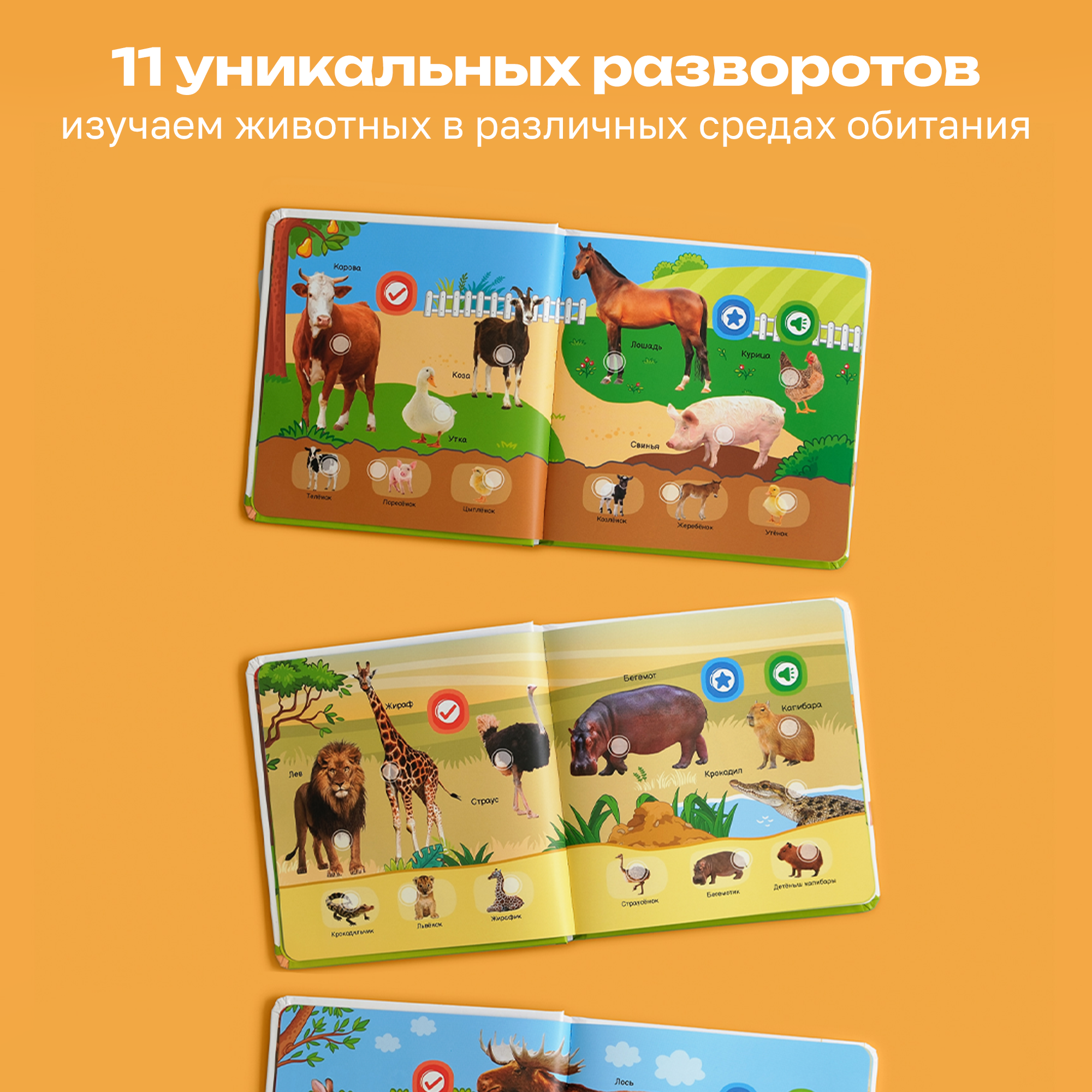 Книга нажималка говорящяя Всё о животных маленькая - фото 9
