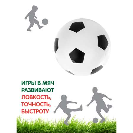 Мяч футбольный Veld Co с 2 конусами