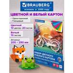 Цветной картон Brauberg 20 лист.