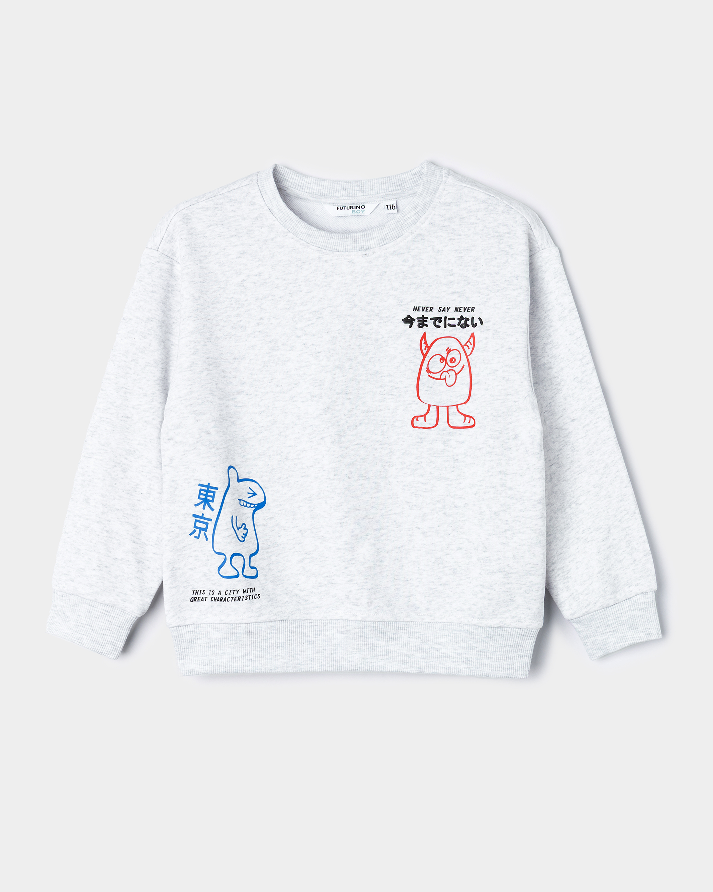 Свитшот Futurino S26FU1-B56Tkb-LGD0 - фото 2