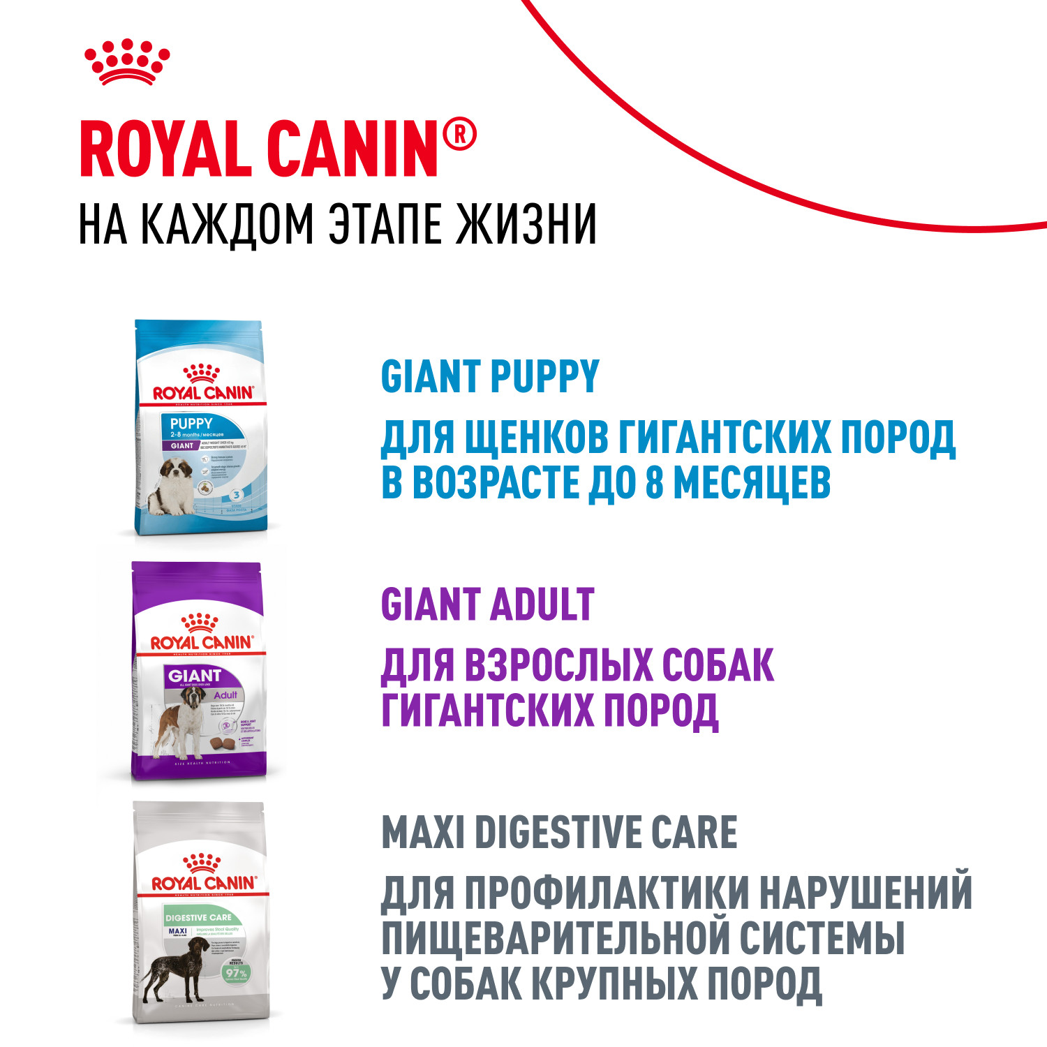 Корм для щенков ROYAL CANIN гигантских пород 8-24месяцев 15кг - фото 9