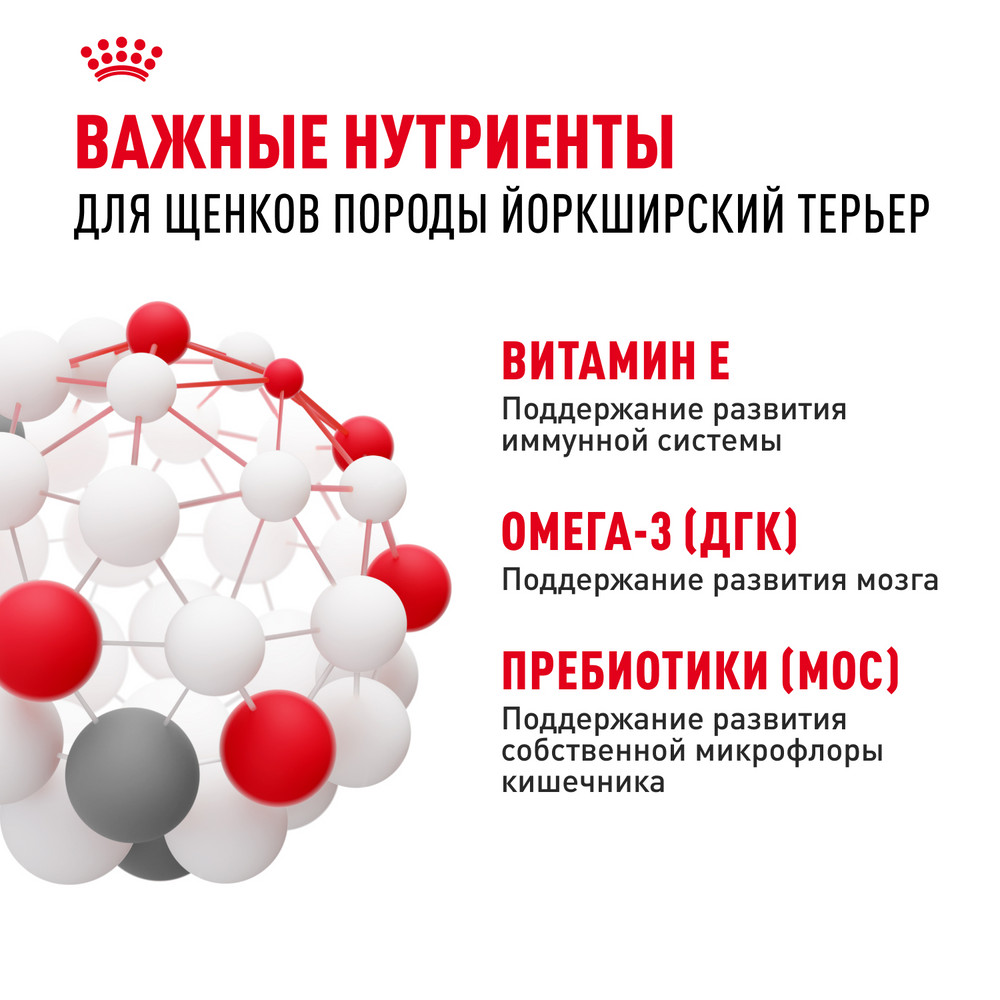 Корм для щенков ROYAL CANIN Junior породы йоркширский терьер 1.5кг - фото 3