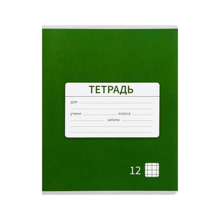 Тетрадь Calligrata клетка