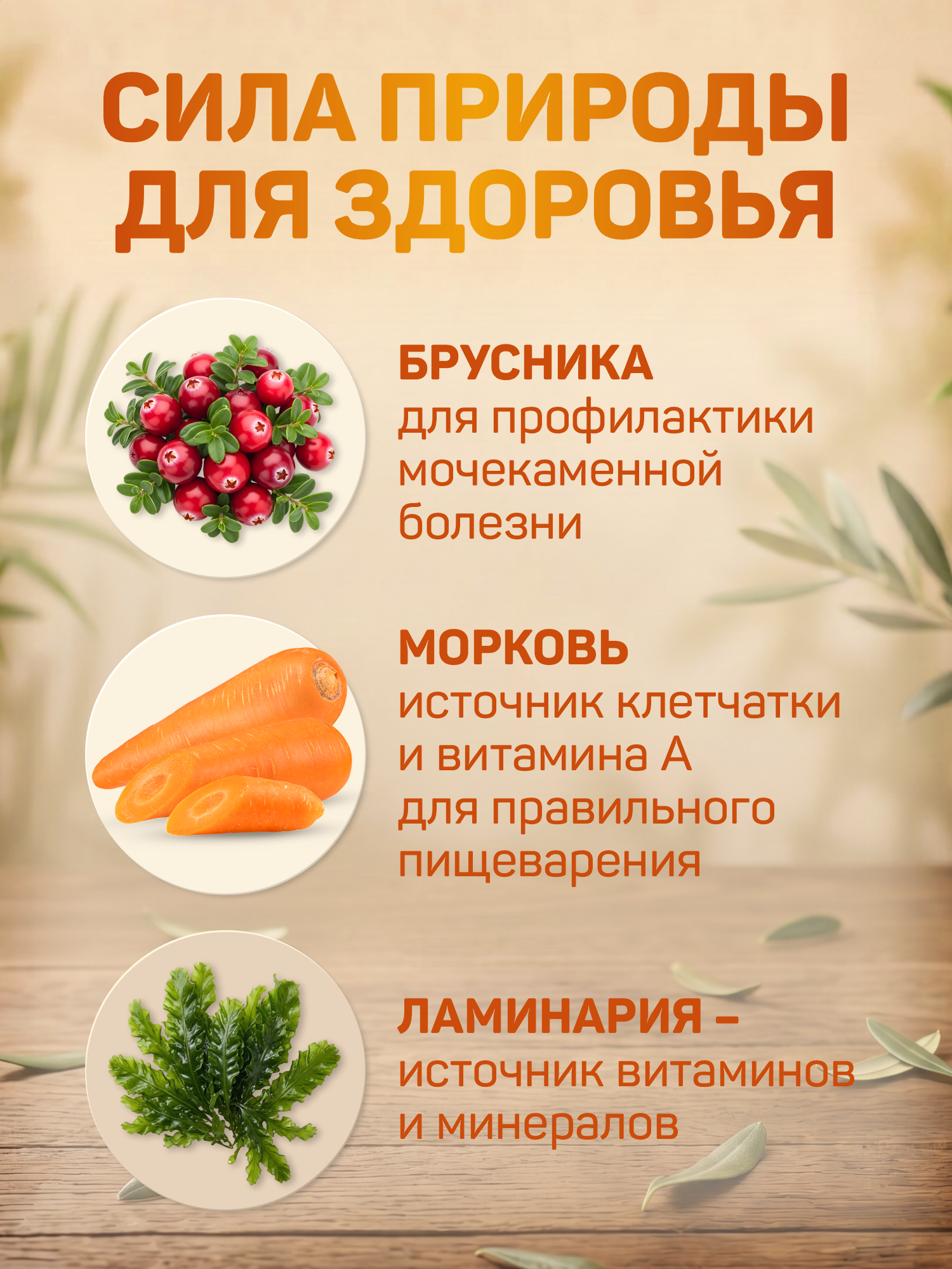 Корм для собак влажный Clan Classic Мясное ассорти с рубцом паштет ж/б 100г 6 шт. - фото 2