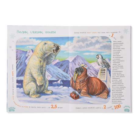 Книга Альпина Паблишер Я белый медведь