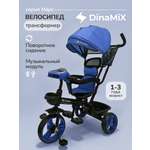 Трехколесный велосипед DinaMiX 10 дюймов