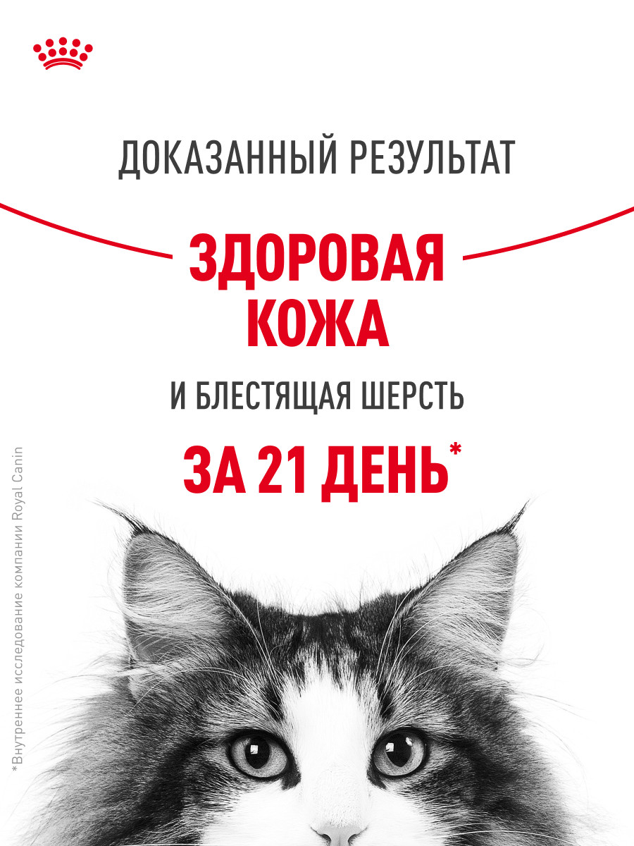Корм для кошек Royal Canin 85г Hair and skin для поддержания здоровья кожи и красоты шерсти тонкие ломтики в желе - фото 4
