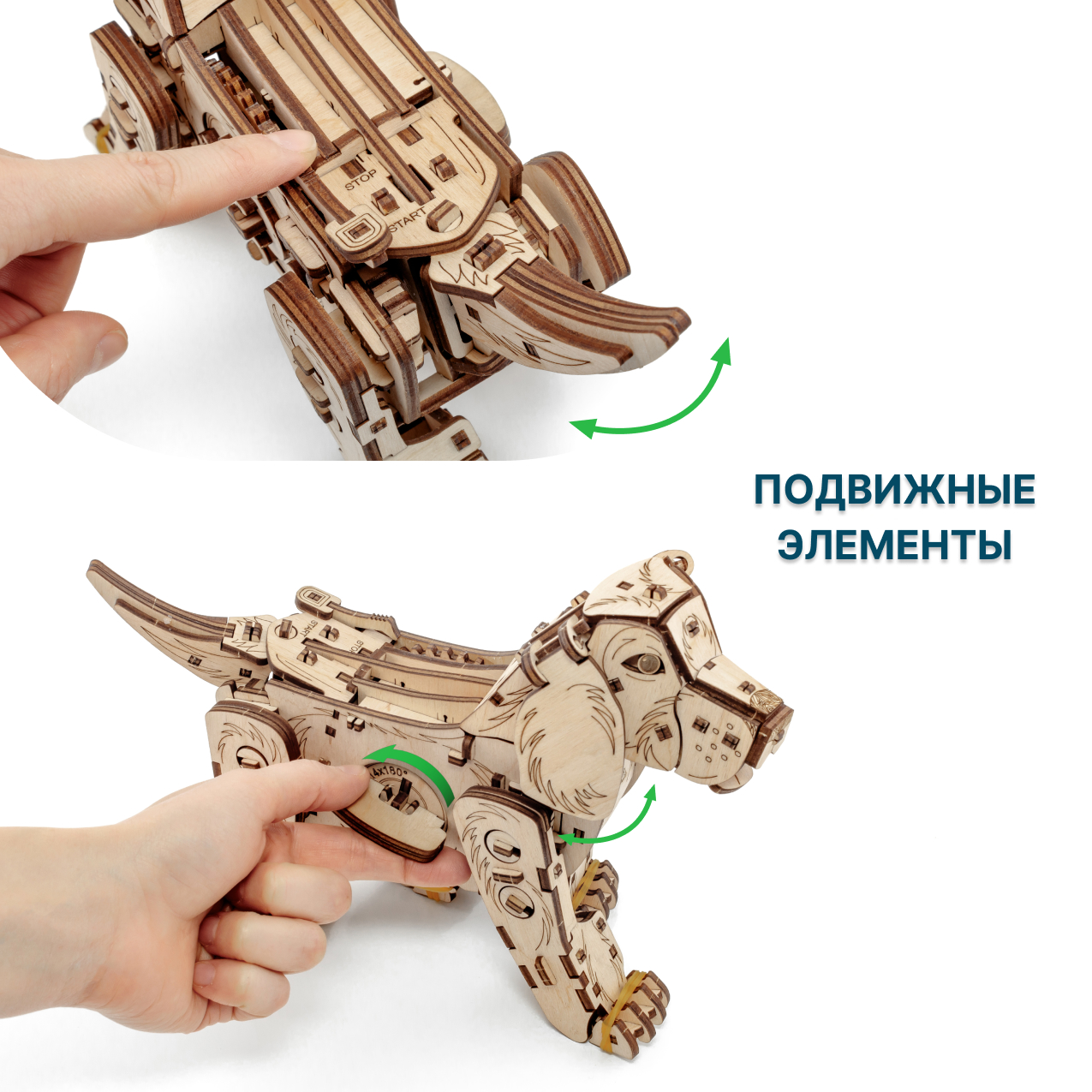 Конструктор Eco Wood Art Механический щенок Puppy деревянный - фото 3