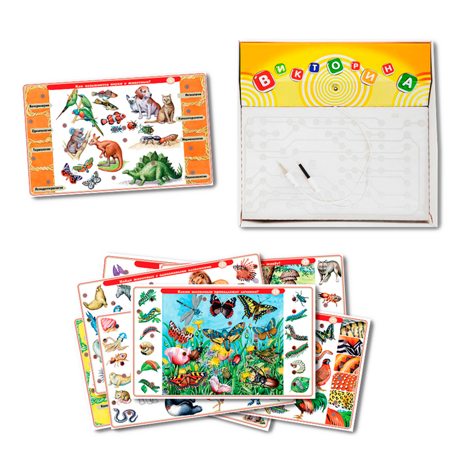Настольная игра Дрофа-Медиа Электровикторина - фото 4