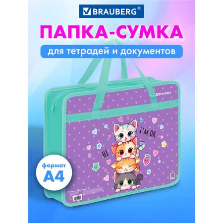 Папка для труда Brauberg А4
