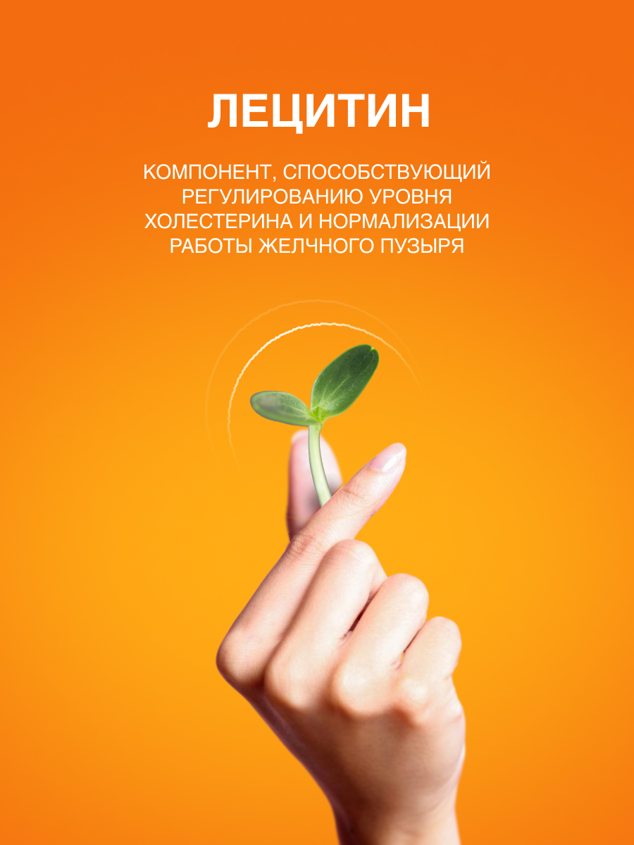 Артишок для печени PLANTCOMPLEX Гепавизим - фото 9