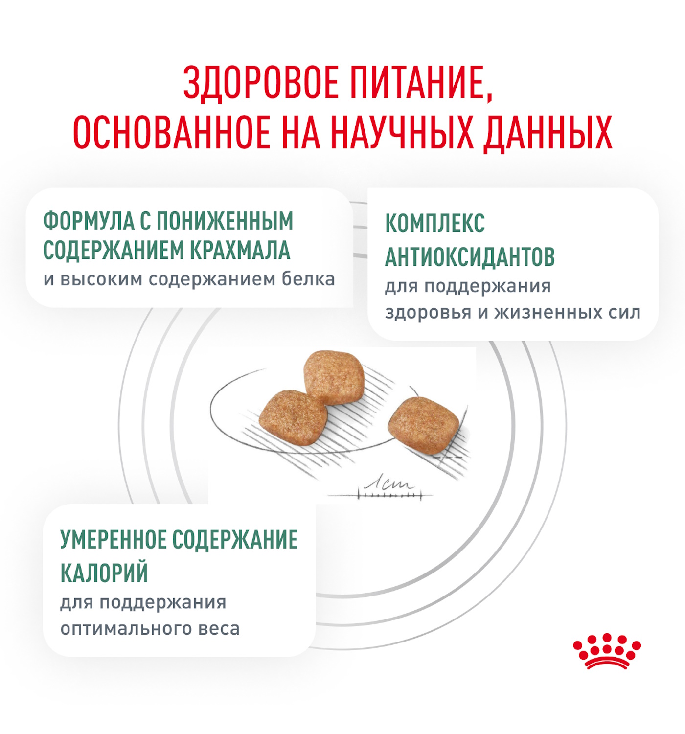 Корм для кошек ROYAL CANIN Diabetic при сахарном диабете 350г - фото 5