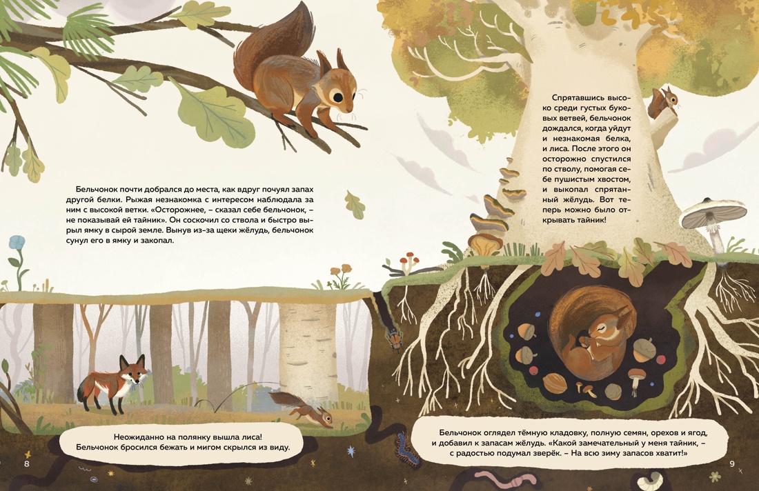 Книга Махаон Кто живёт в лесу Иллюстрированный атлас животных - фото 12