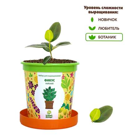 Набор для выращивания Happy Plant