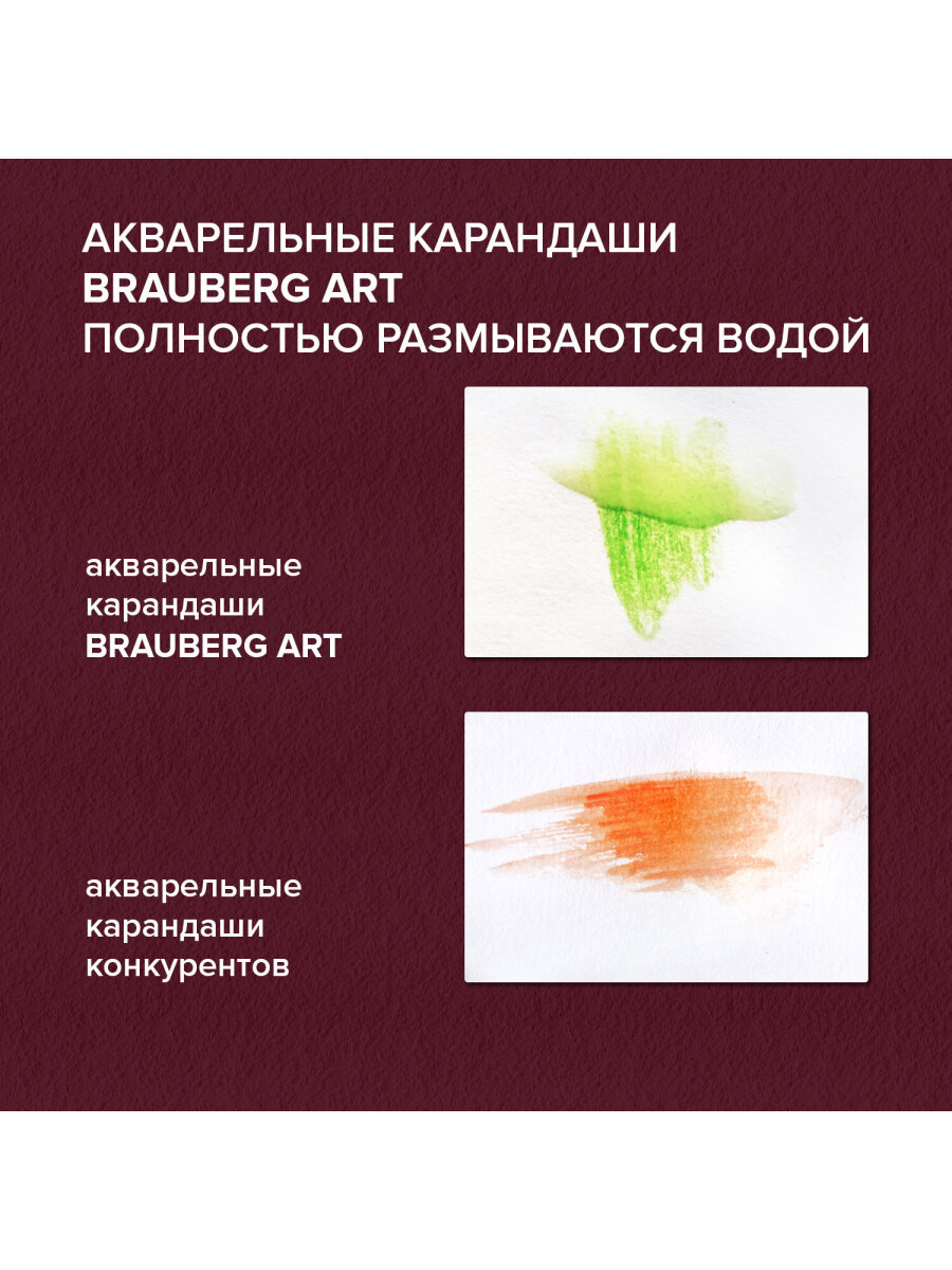 Карандаши акварельные Brauberg 24 шт. - фото 12