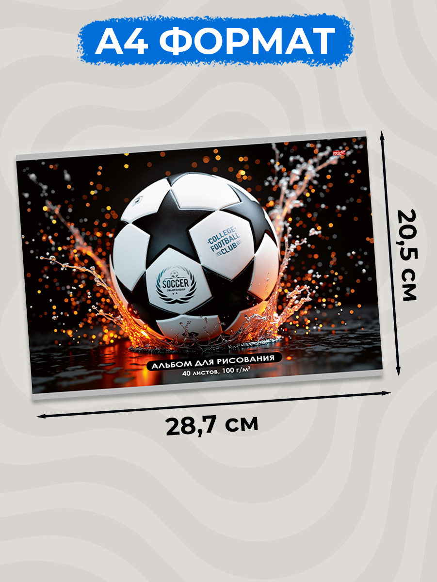 Альбом Profit Футбольные мячи А4 40 лист. 2 шт. - фото 2