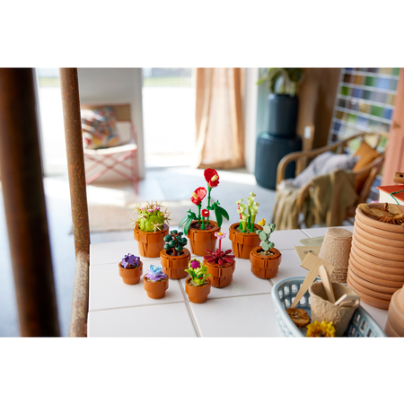 Конструктор LEGO Botanicals Tiny plants блочный