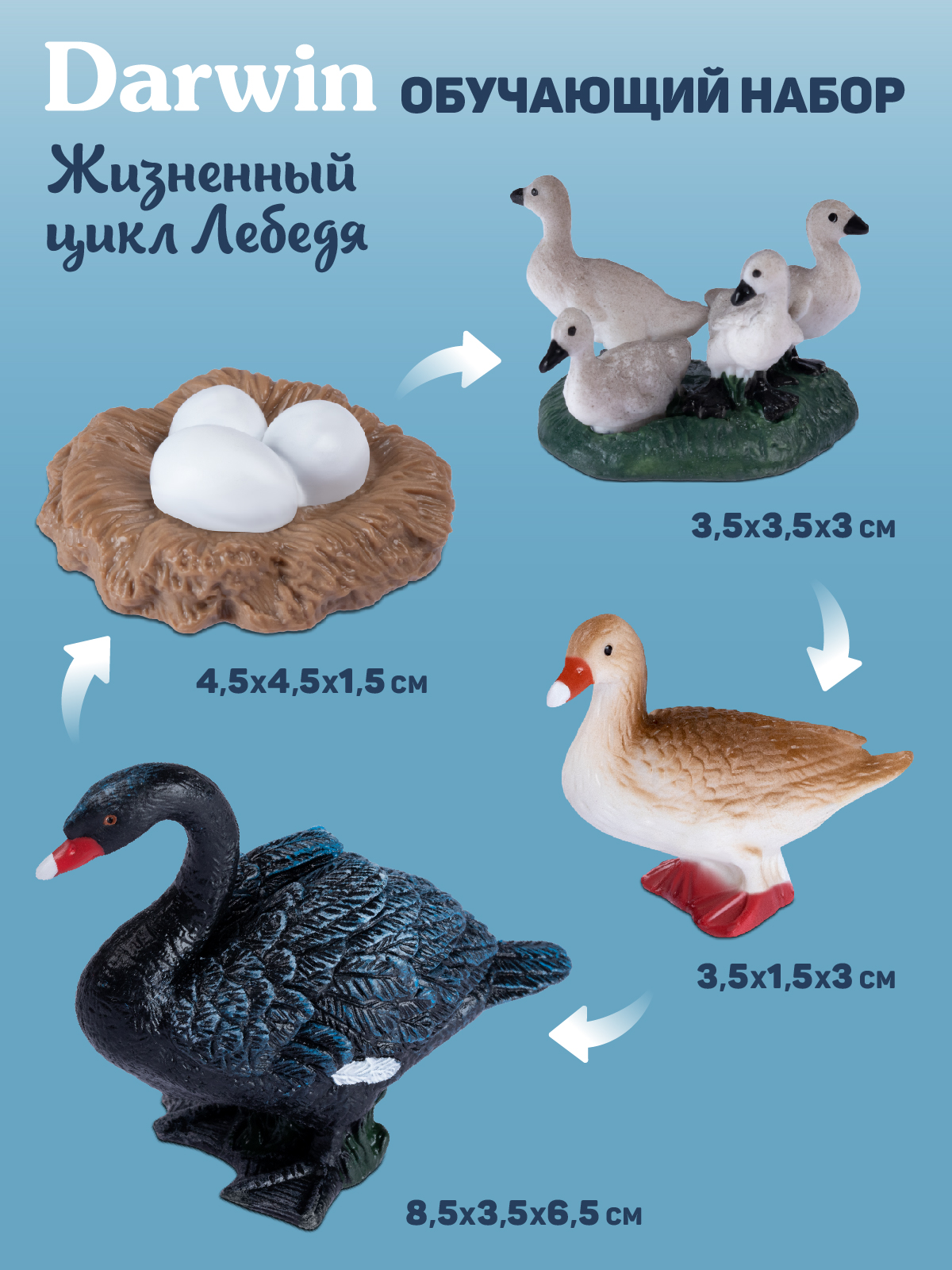 Игровой набор DARWIN Животные Лебедь - фото 3