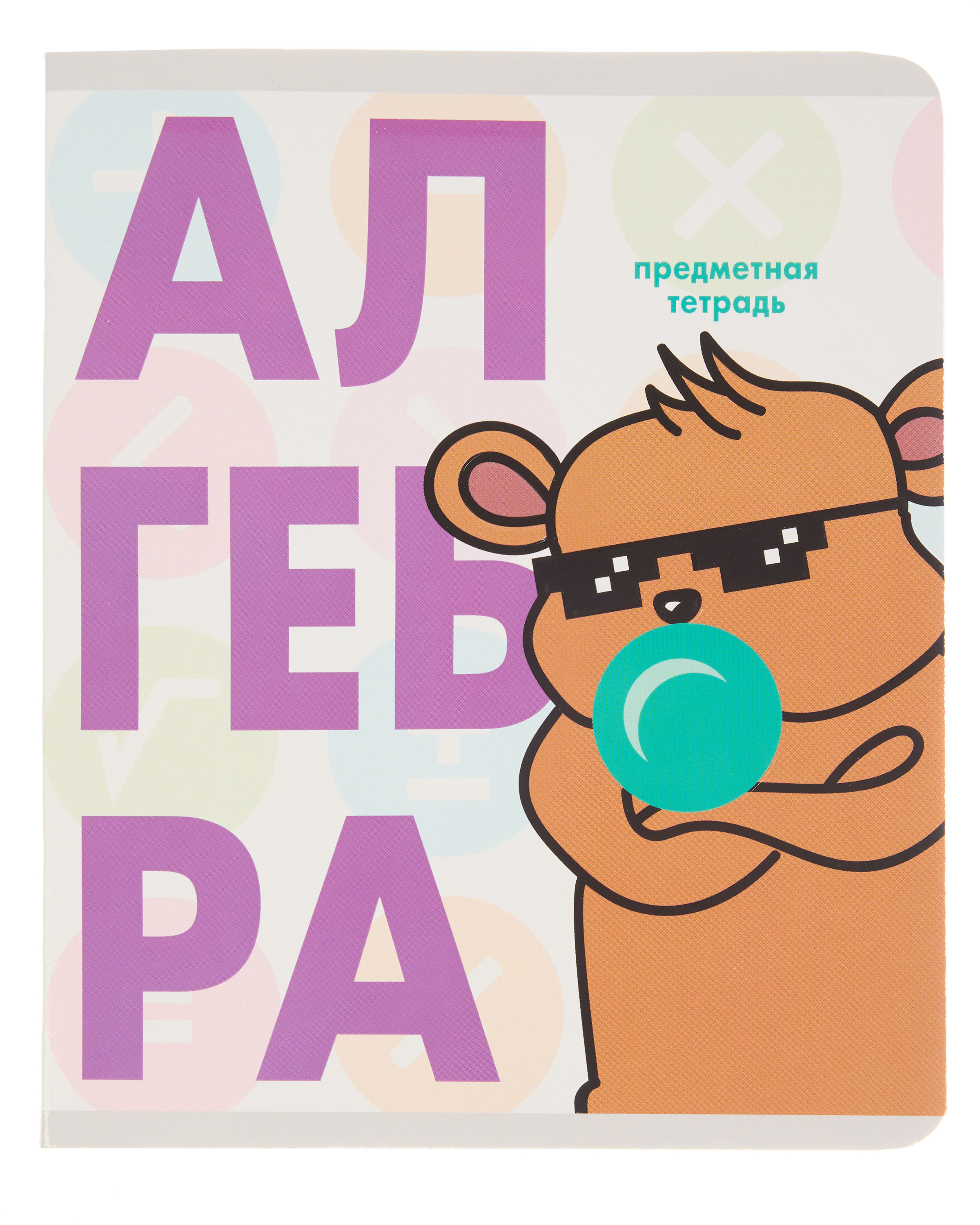 Тетрадь Erhaft 48 лист. (Алгебра) - фото 1