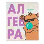 Тетрадь Erhaft 48 лист. (Алгебра)