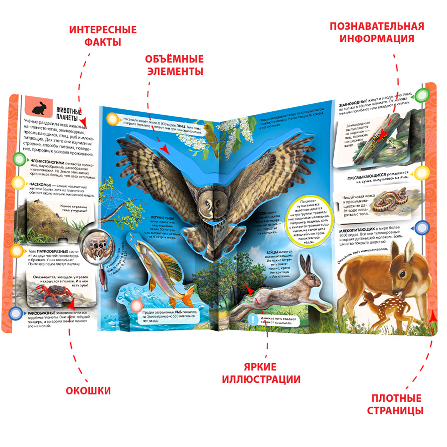 Энциклопедия открытий Malamalama Планета Земля - фото 2
