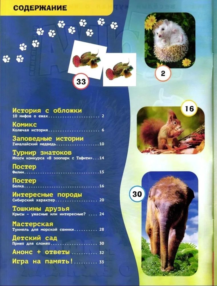 Набор детских журналов ИД Лев Тошка №10/25 и №11/25 - фото 6