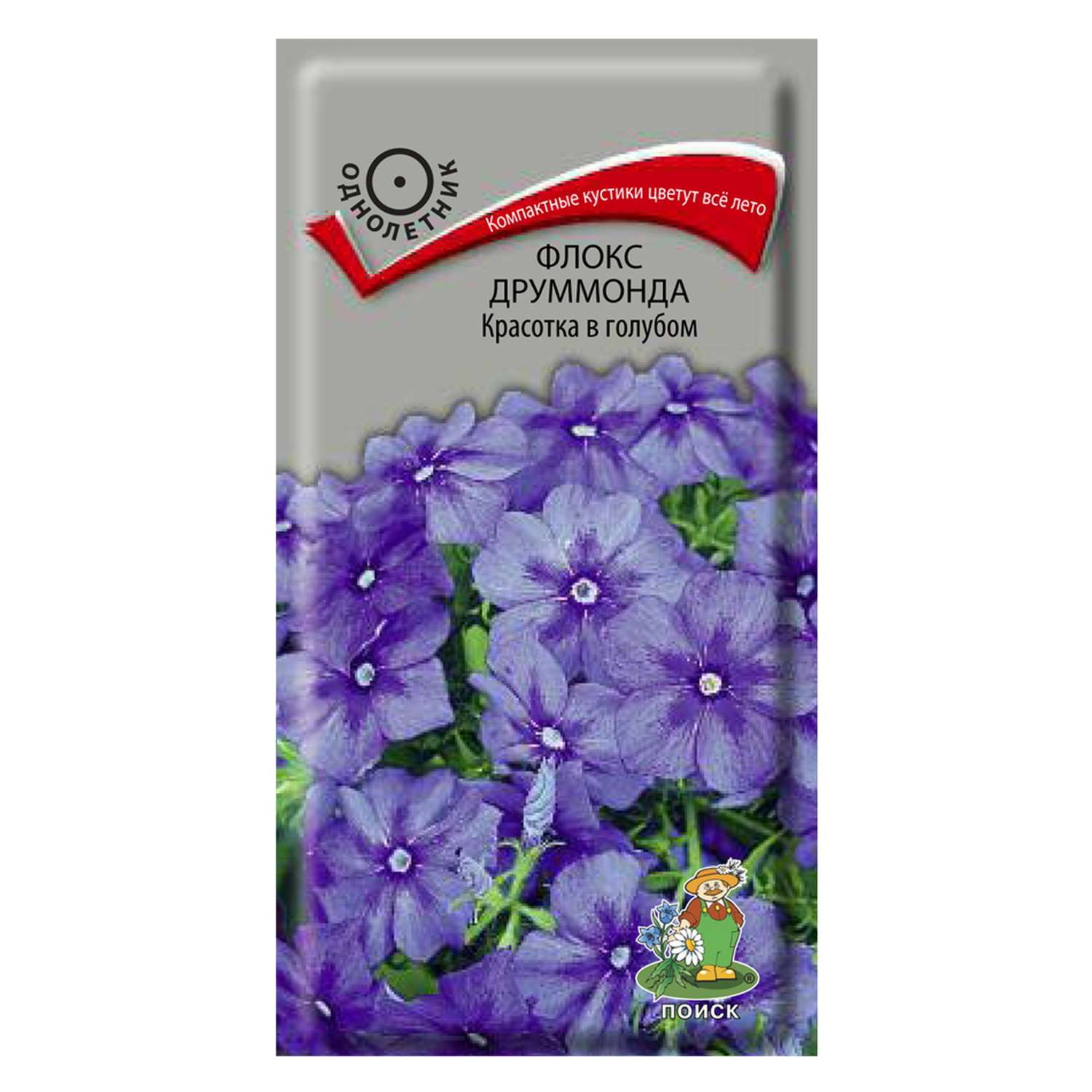 Флокс друммонда . Красотка в голубом 0.1г - фото 1