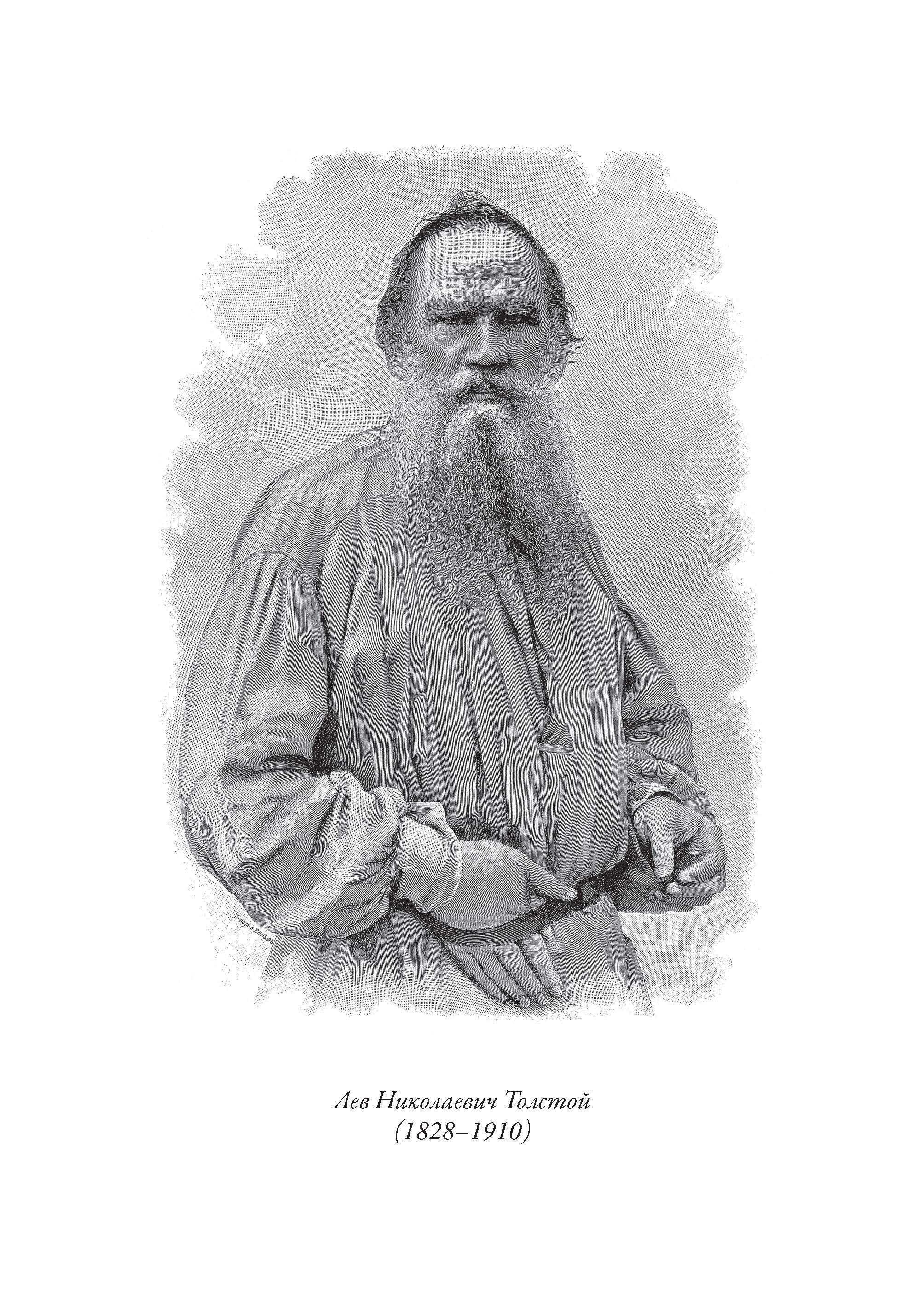 Книга СЗКЭО БМЛ Толстой Басни иллюстрации К. Алексеевой - фото 4