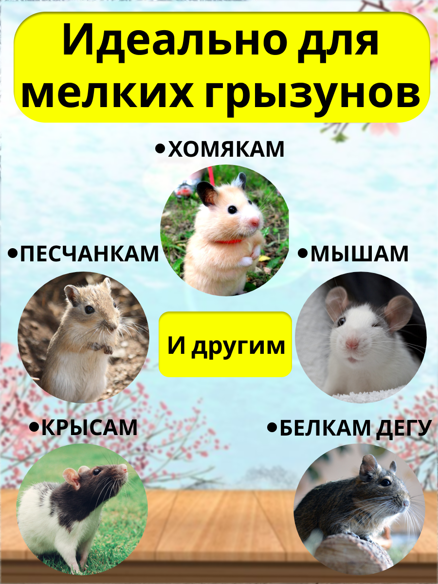 Гамак для грызунов PetiPet зеленый маленький 22х17 одноярусный - фото 4