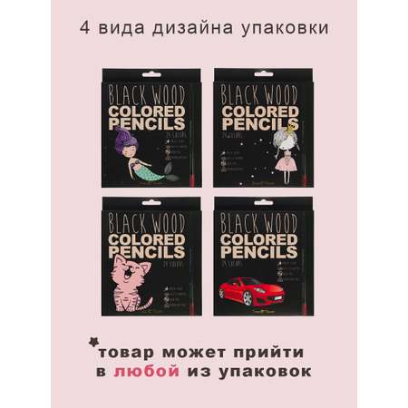 Карандаши цветные Bruno Visconti 24 шт.