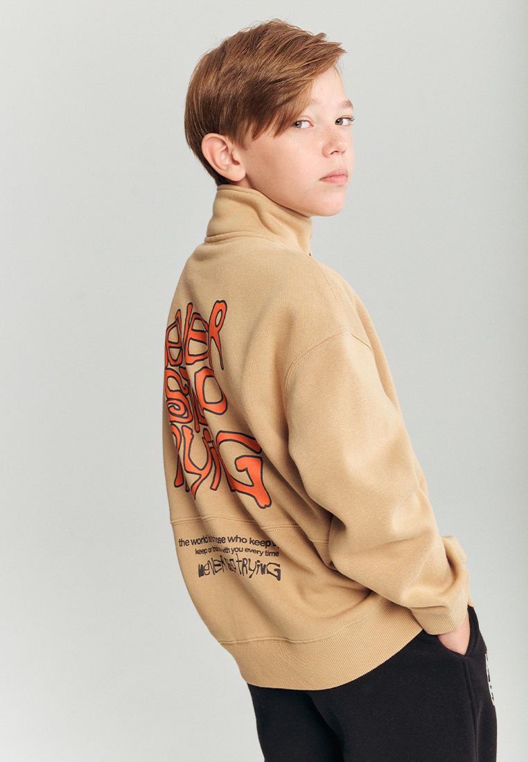 Толстовка artie W25K03T-1354M/Коричневый - фото 5