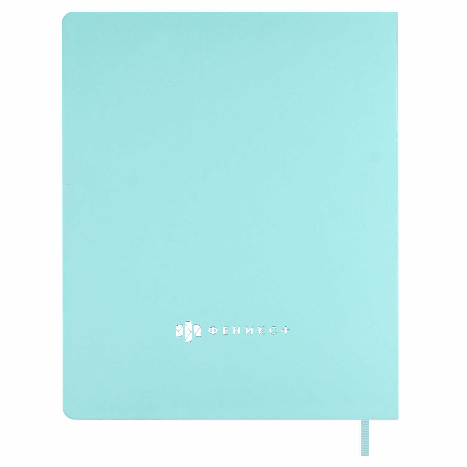 Дневник школьный Феникс + Серебряный котенок - фото 7