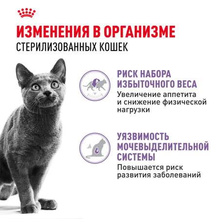 Корм влажный для кошек ROYAL CANIN Sterilised 85г желе