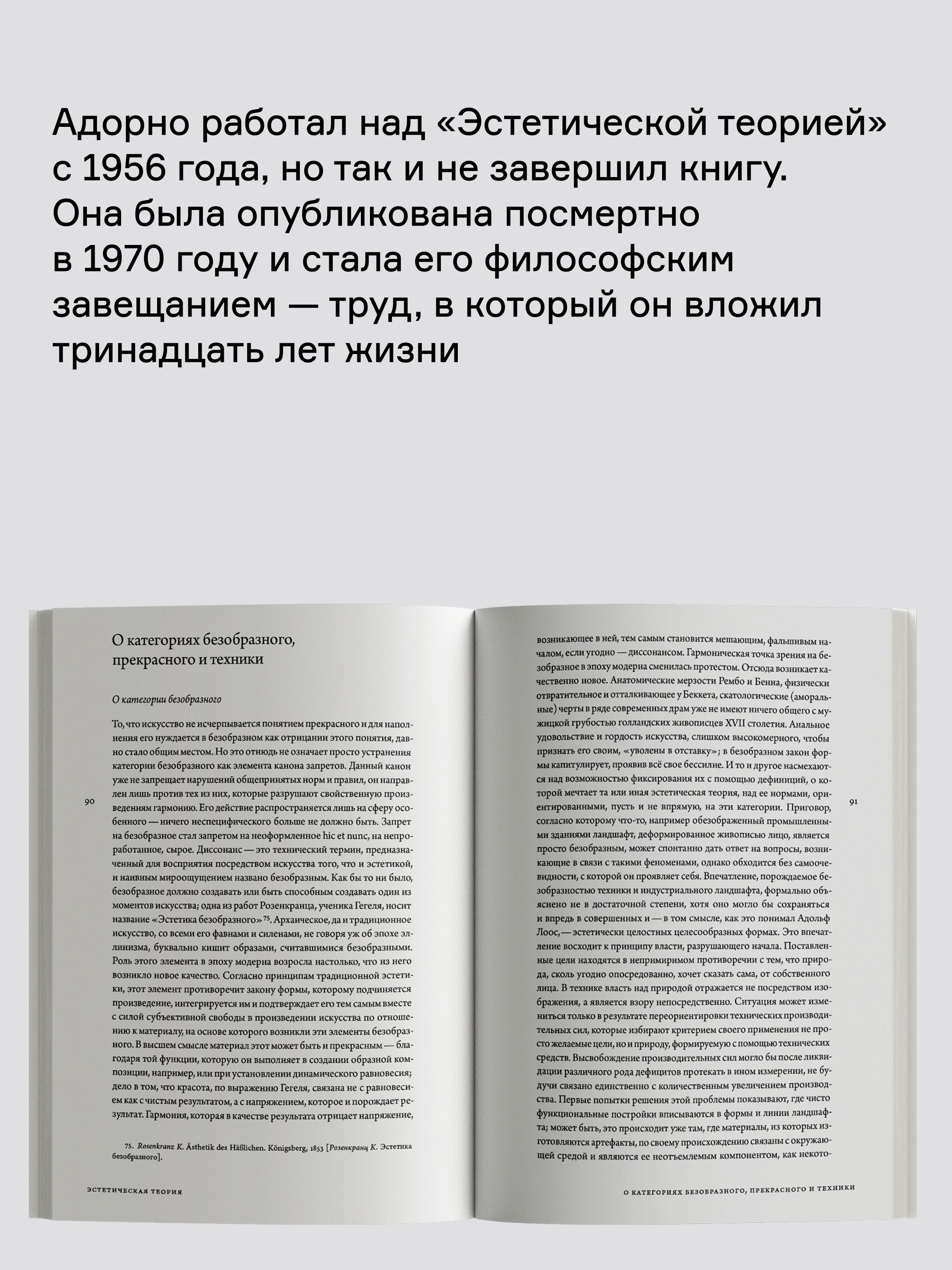 Книга Ad Marginem Эстетическая теория - фото 5