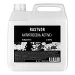 Моющее средство RASTVOR 3000 мл от плесени