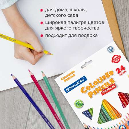 Карандаши цветные Brauberg 24 шт.