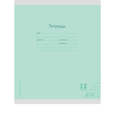 Тетрадь Prof-Press крупная клетка 12 лист. 10 шт.