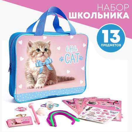 Набор школьника Школа Талантов 13 предм.