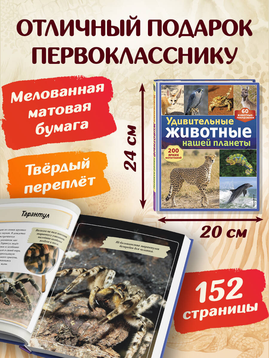 Книга Эксмо Удивительные животные нашей планеты - фото 6