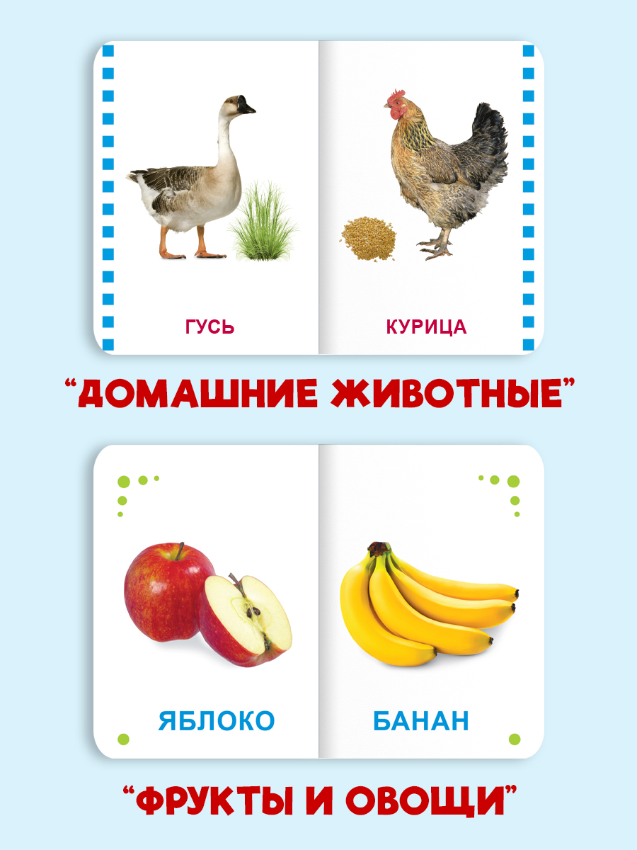 Книжки Проф-Пресс картонные мини. развивающие для малышей. Набор из 4 шт. Первые слова - фото 6