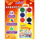 Краски акварель Юнландия 12 цв.