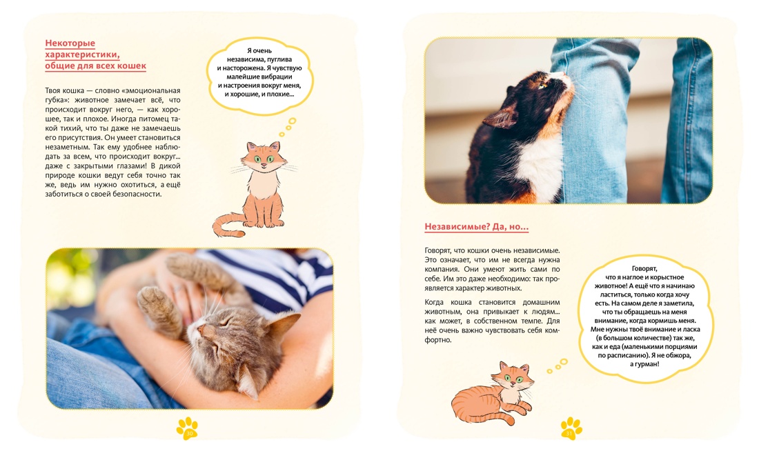 Книга Махаон Журно А. Я и моя кошка. Как понять питомца и стать ему другом - фото 9
