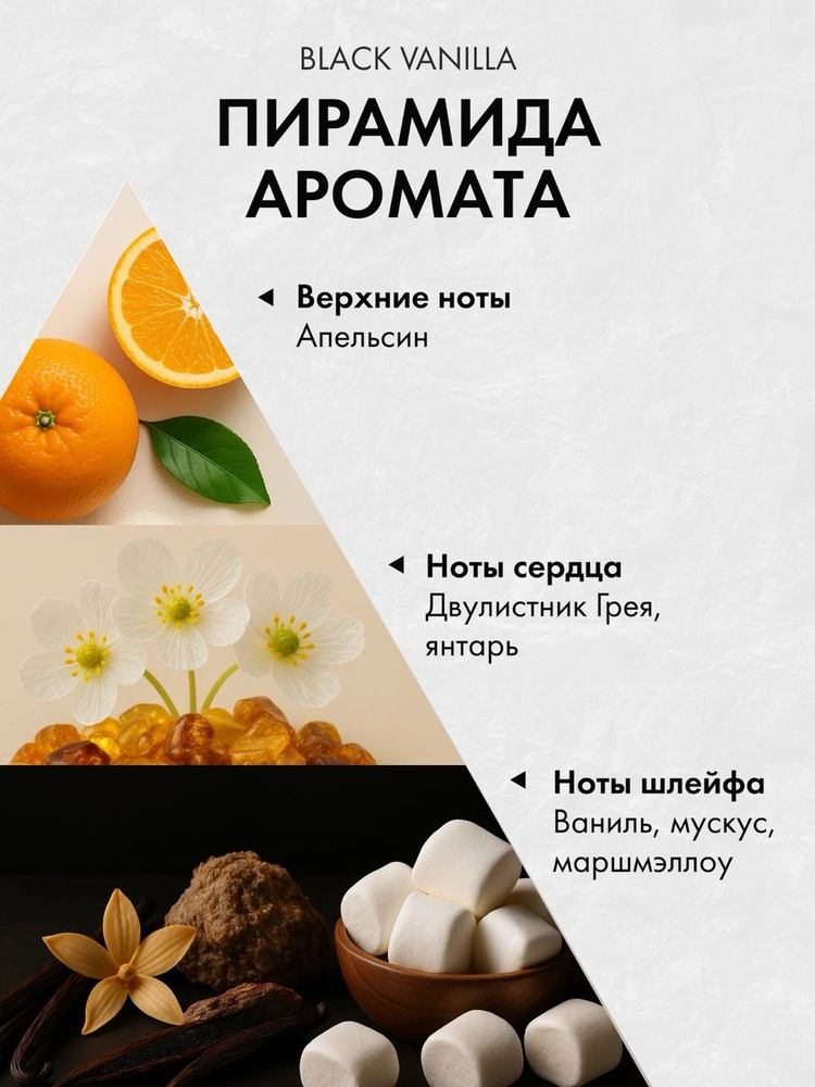 Диффузор с сухоцветами в Премиум тубусе Accents Black Vanilla - фото 3