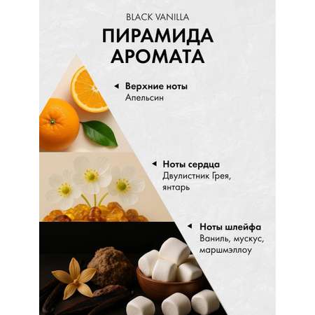Диффузор с сухоцветами в Премиум тубусе Accents Black Vanilla