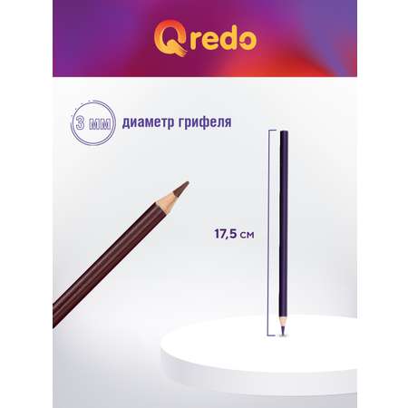 Карандаши цветные Qredo 24 шт.