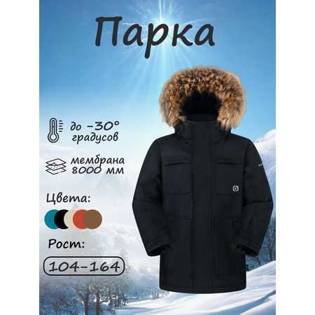 Парка GUSTI