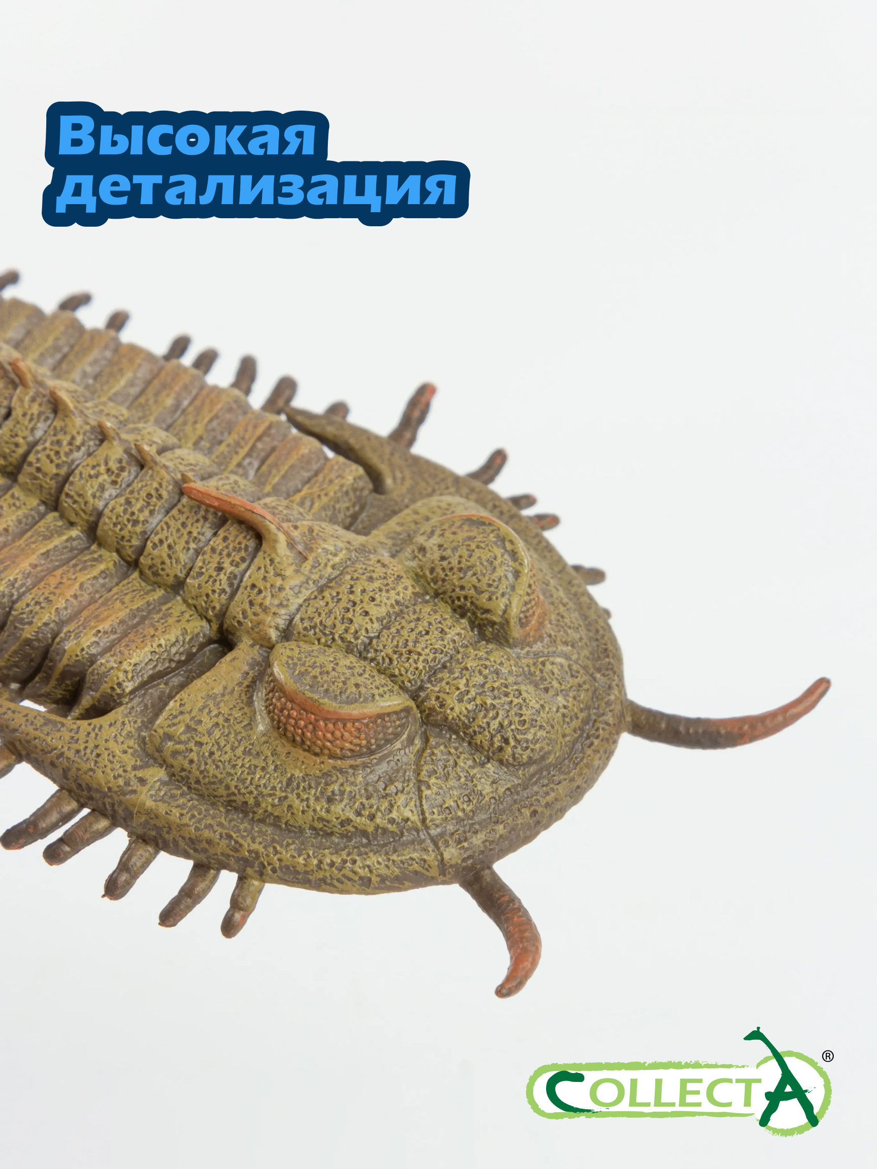 Фигурка Collecta Трилобит - фото 3