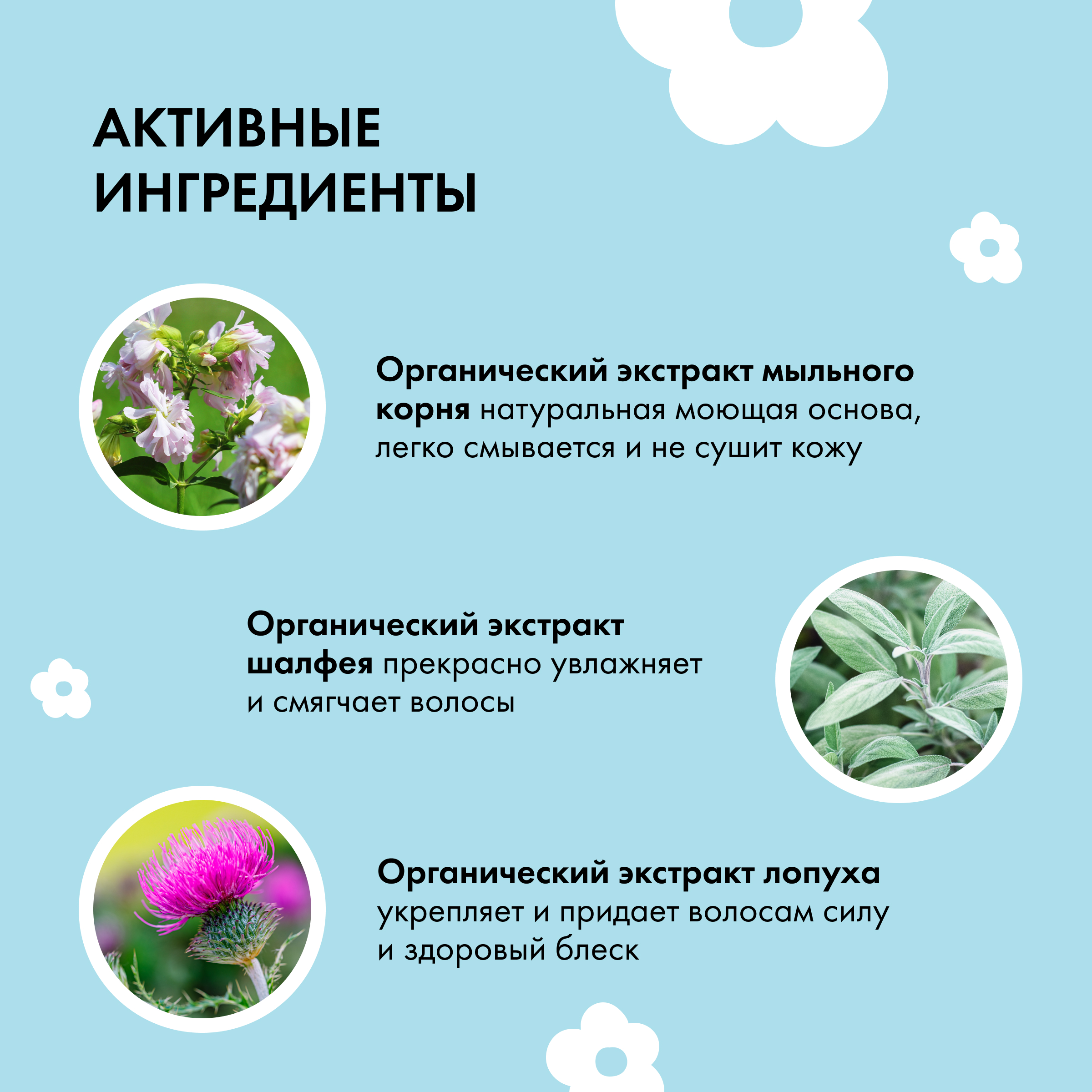 Шампунь Siberica Биберика - фото 5