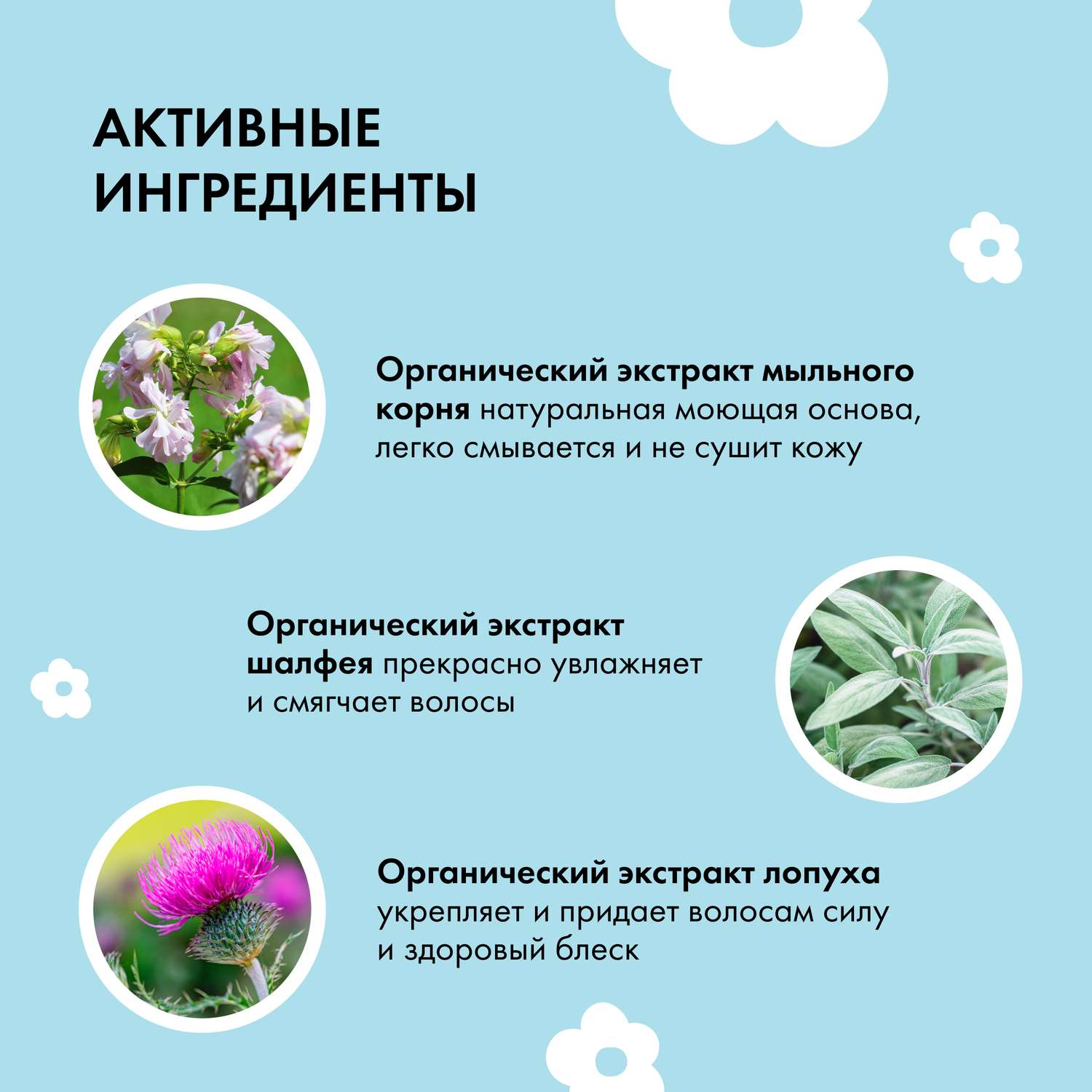 Шампунь Siberica Биберика - фото 5